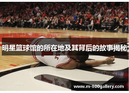 明星篮球馆的所在地及其背后的故事揭秘