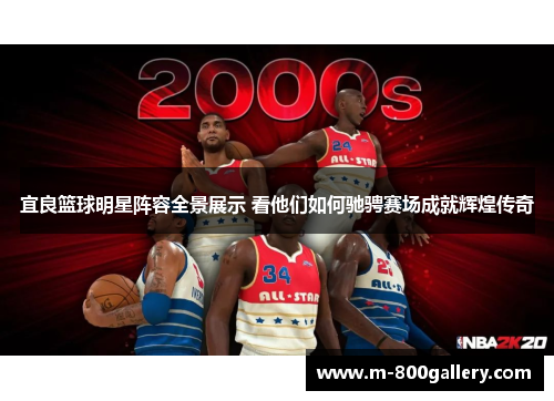 宜良篮球明星阵容全景展示 看他们如何驰骋赛场成就辉煌传奇