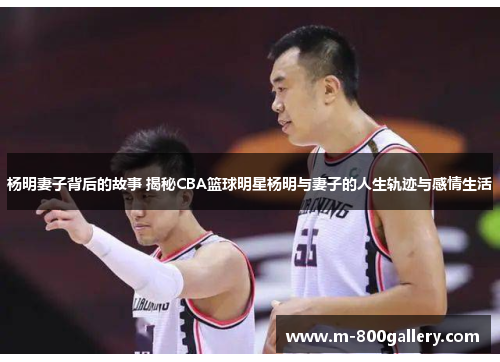 杨明妻子背后的故事 揭秘CBA篮球明星杨明与妻子的人生轨迹与感情生活