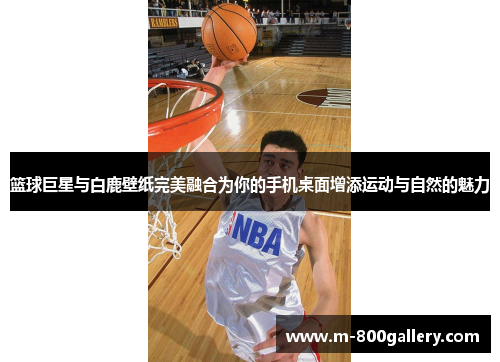 篮球巨星与白鹿壁纸完美融合为你的手机桌面增添运动与自然的魅力