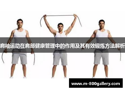 肩袖运动在肩部健康管理中的作用及其有效锻炼方法解析
