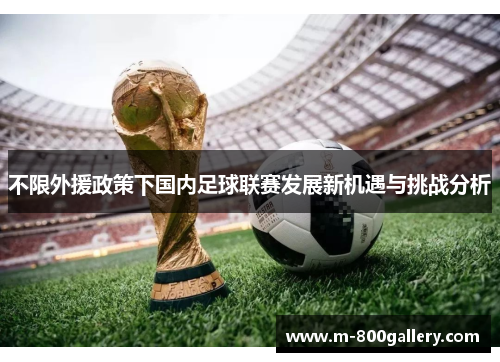 不限外援政策下国内足球联赛发展新机遇与挑战分析